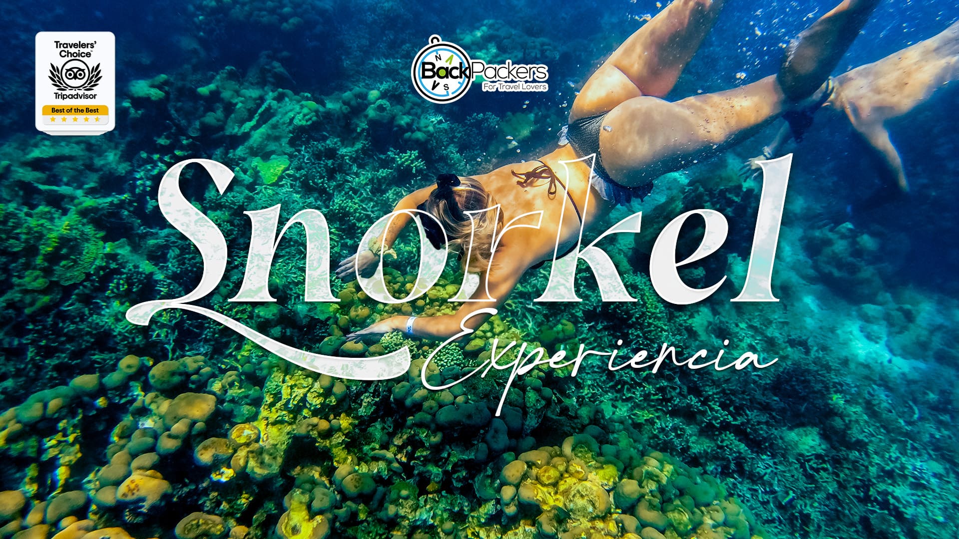 Snorkeling in Baru Island